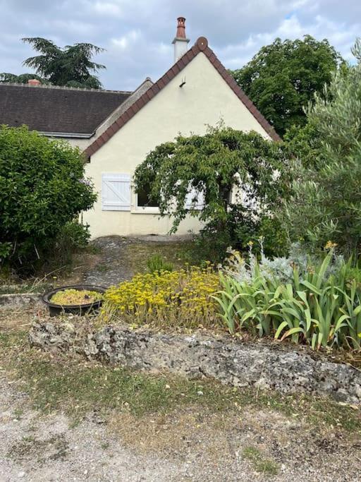 La Petite Maisonnette Saint-Georges-sur-Cher Luaran gambar